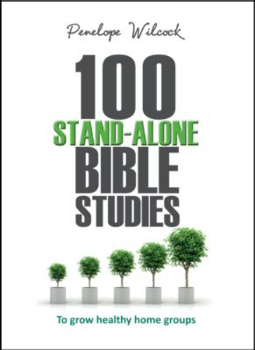 Picture of 100 Stand Alone Bible Studies