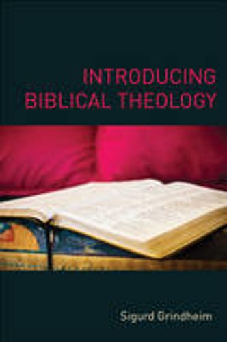 Picture of Introducing Biblical Theology