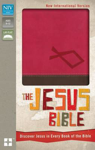 Picture of Jesus Bible
