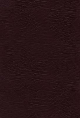 Picture of Woman's Study Bible-KJV