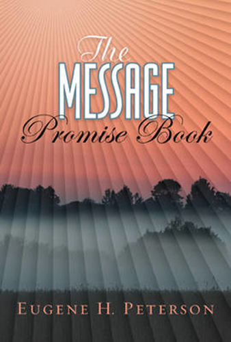 Picture of Message Promise Book