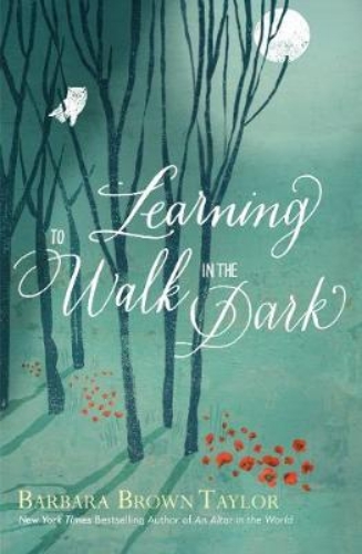 Picture of Learning to Walk in the Dark: Because God Often Shows Up at Night