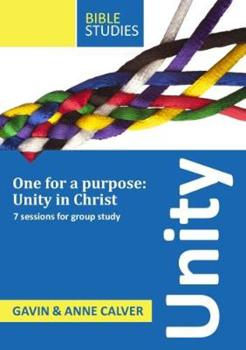 Picture of Unity