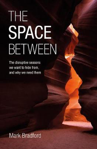 Picture of The Space Between