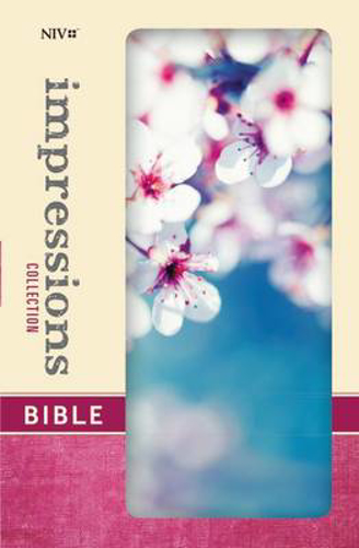 Picture of Niv Impressions Bible