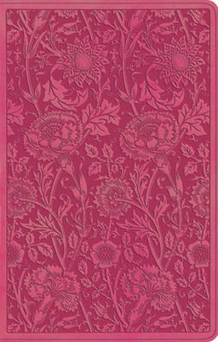 Picture of Esv Ultra Thin