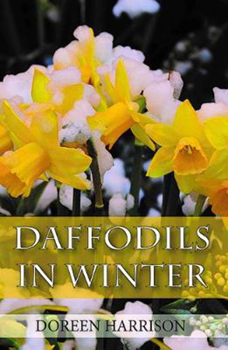 Picture of Daffodils In Winter