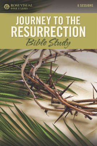 Picture of Study: Rvbs Journey to the Resurrection