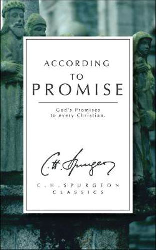 Picture of According to Promise: God's Promises to Every Christian
