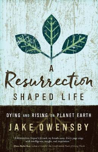 Picture of Resurrection Shaped Life