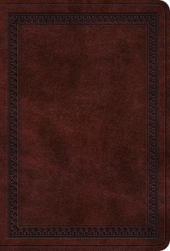 Picture of ESV Value Large Print Compact Bible