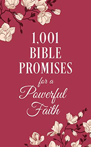 Picture of 1001 Bible Promises For A Powerful Faith