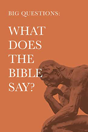 Picture of Big Questions: What Does the Bible Say?
