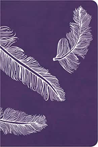 Picture of CSB Compact Ultrathin Bible for Teens, Plum Feathers LeatherTouch
