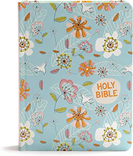 Picture of CSB Journal and Draw Bible for Kids, Blue