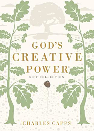 Picture of God's Creative Power Gift Edition