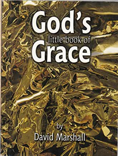 Picture of God's Little Book of Grace