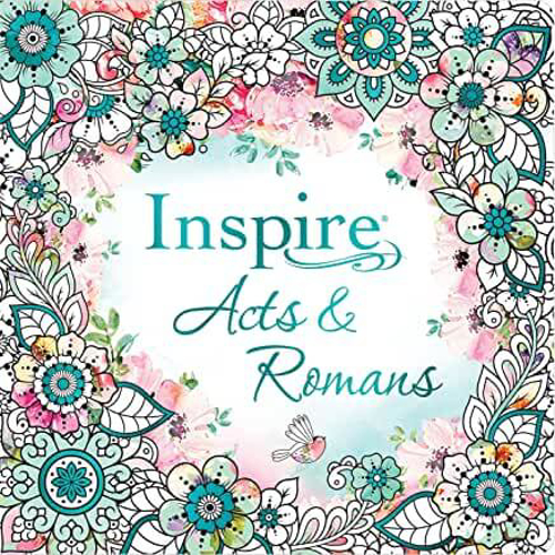 Picture of Inspire: Acts & Romans (Softcover)