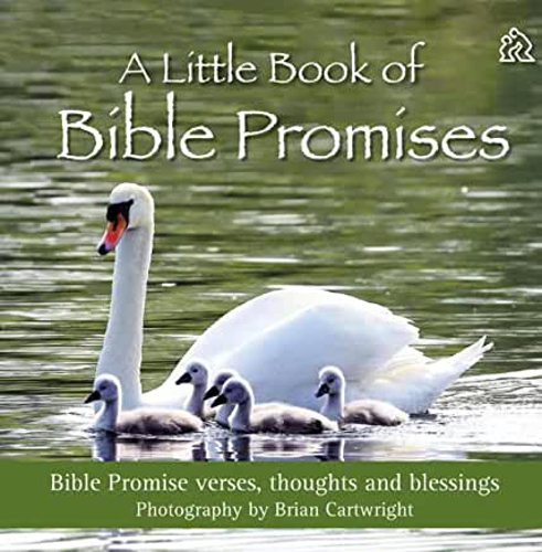 Picture of LITTLE BOOK OF BIBLE PROMISES