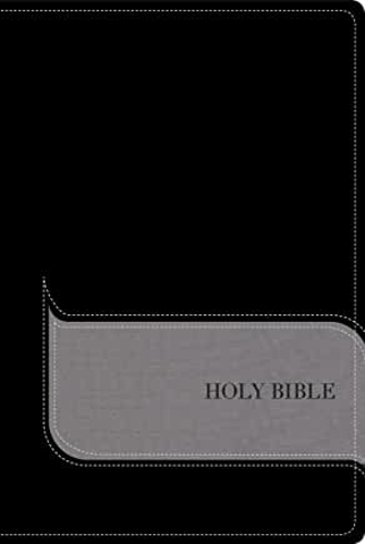 Picture of Niv Understand The Faith Bible