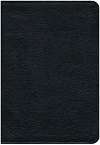 Picture of Premium NRSV Bible