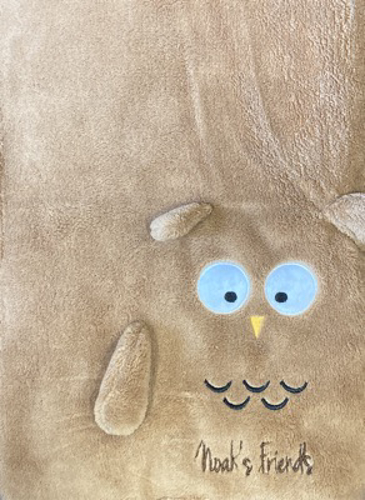 Picture of NOAHS FRIENDS BLANKET