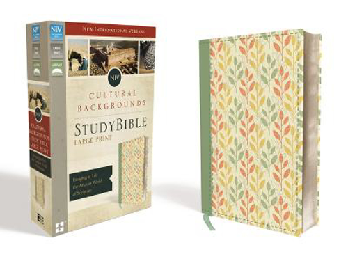 Picture of Niv Vultural Backgrounds Study Bible Large