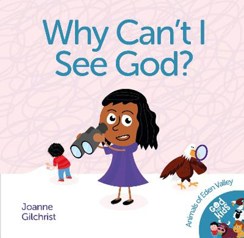 Picture of Why Can't I See God?