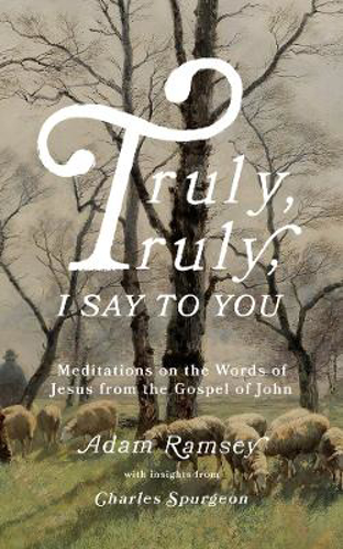 Picture of Truly, Truly, I Say To You: Meditations On The Words Of Jesus From The Gospel Of John