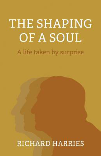 Picture of Shaping Of A Soul, The: A Life Taken By Surprise
