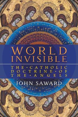 Picture of World Invisible: The Catholic Doctrine Of The Angels