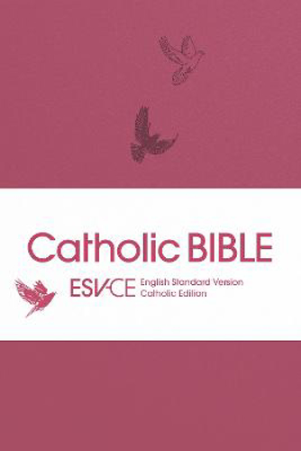 Picture of Esv-ce Catholic Bible, Anglicized Pocket Edition: English Standard Version - Catholic Edition In Pink Flexiback Binding