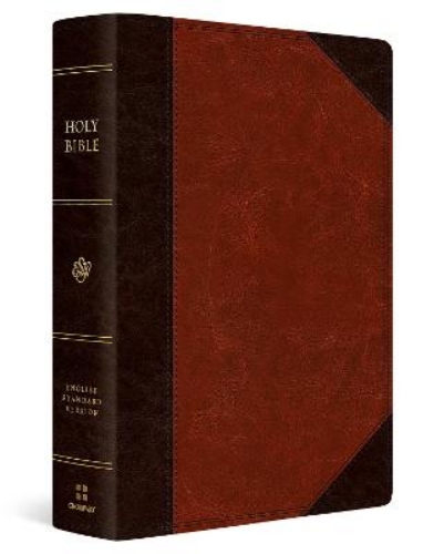 Picture of Esv Super Giant Print Bible