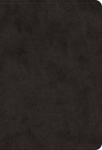 Picture of Esv Value Large Print Compact Bible