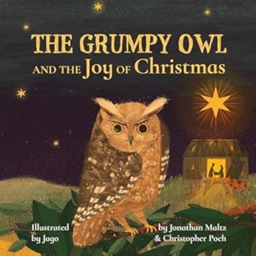 Picture of The Grumpy Owl And The Joy Of Christmas